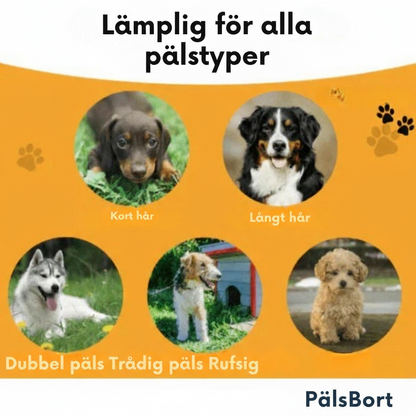 PälsBort™ | Skonsam, effektiv och redo på några sekunder.