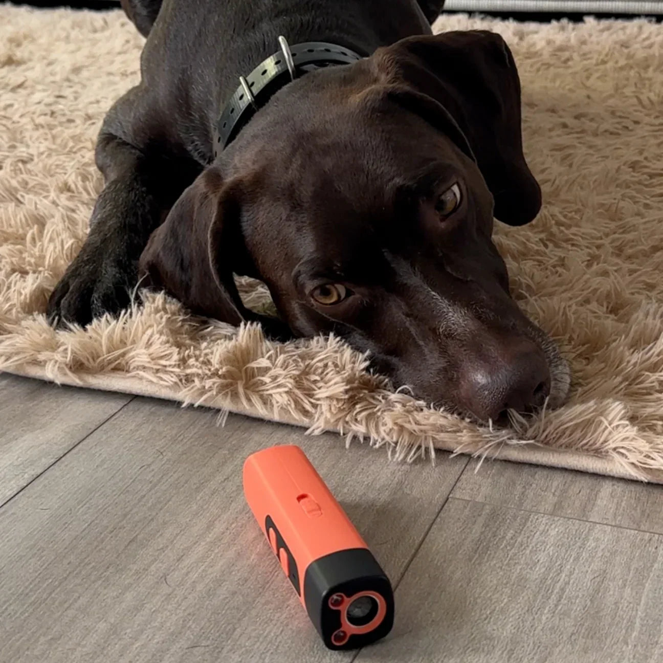 TystBuddy™ | Din bästa vän – nu ännu lugnare