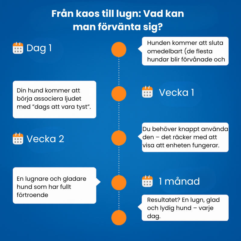 TystBuddy™ | Din bästa vän – nu ännu lugnare