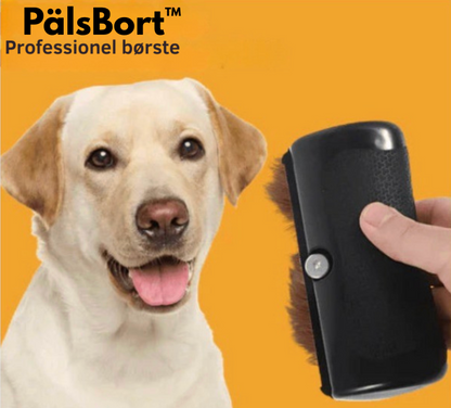 PälsBort™ | Skonsam, effektiv och redo på några sekunder.