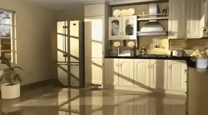 Skadedjursvakt™ | Skyddar ditt hem från oinbjudna gäster!